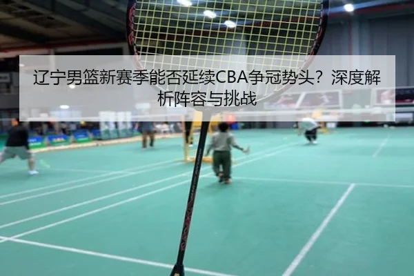 辽宁男篮新赛季能否延续CBA争冠势头？深度解析阵容与挑战