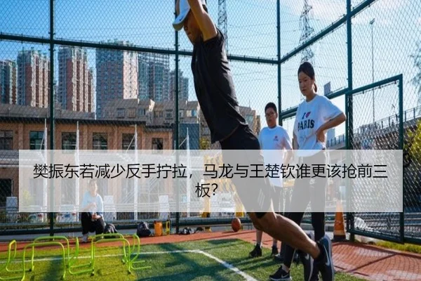 樊振东若减少反手拧拉，马龙与王楚钦谁更该抢前三板？
